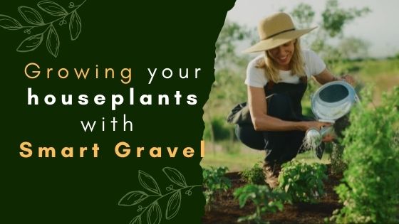 Smart Gravel for houseplants?