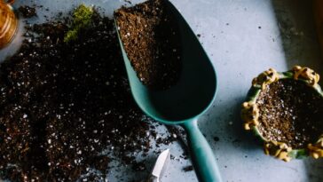 How Can You Help Your Soil Hold More Water?